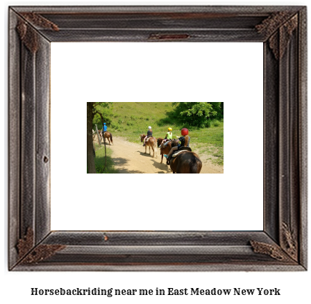 horseback riding near me in East Meadow, New York